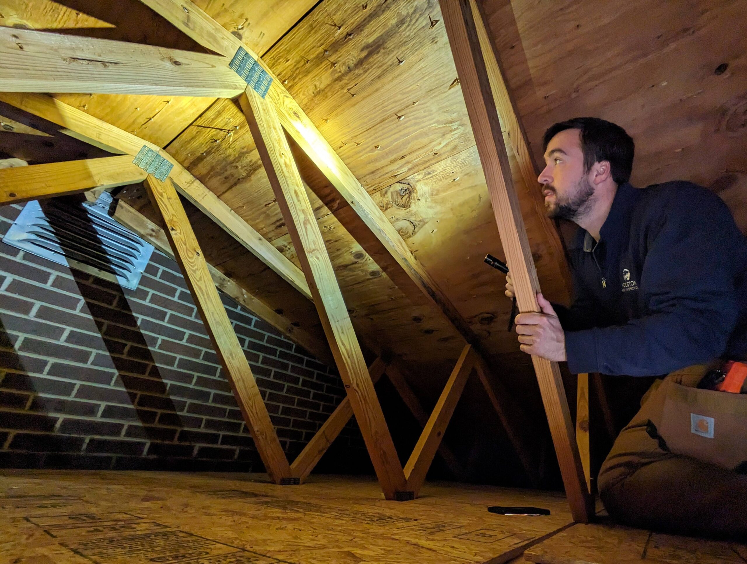 attic inspection